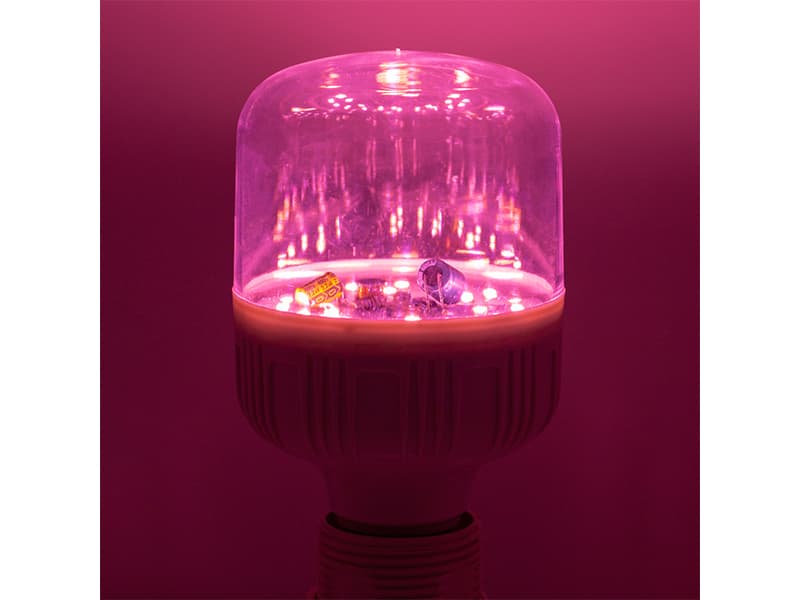 LED 식물 재배등이 정말 식물 성장에 도움이 될까요?