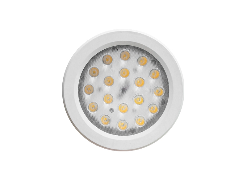 LED PAR38 Plant Grow Light