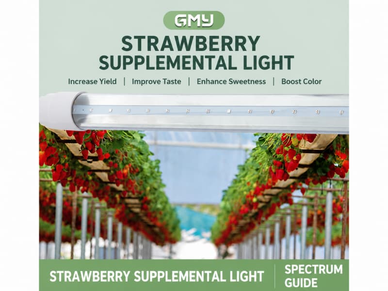 LED Strawberry Light