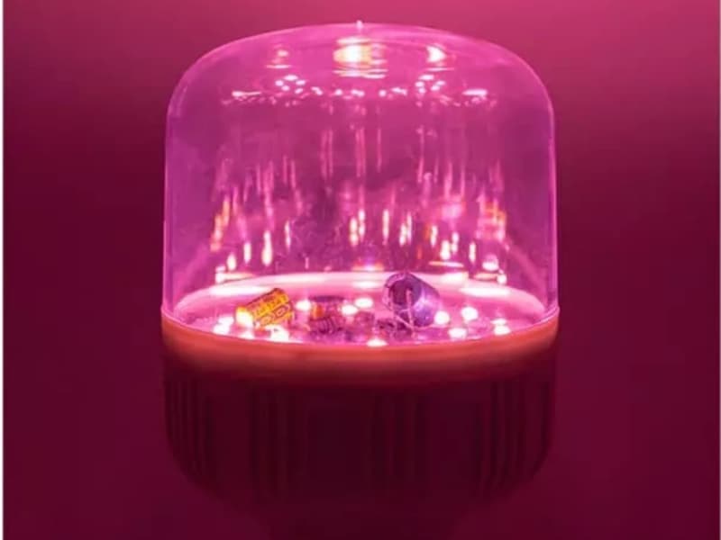 LED 식물 재배등이 정말 식물 성장에 도움이 될까요?